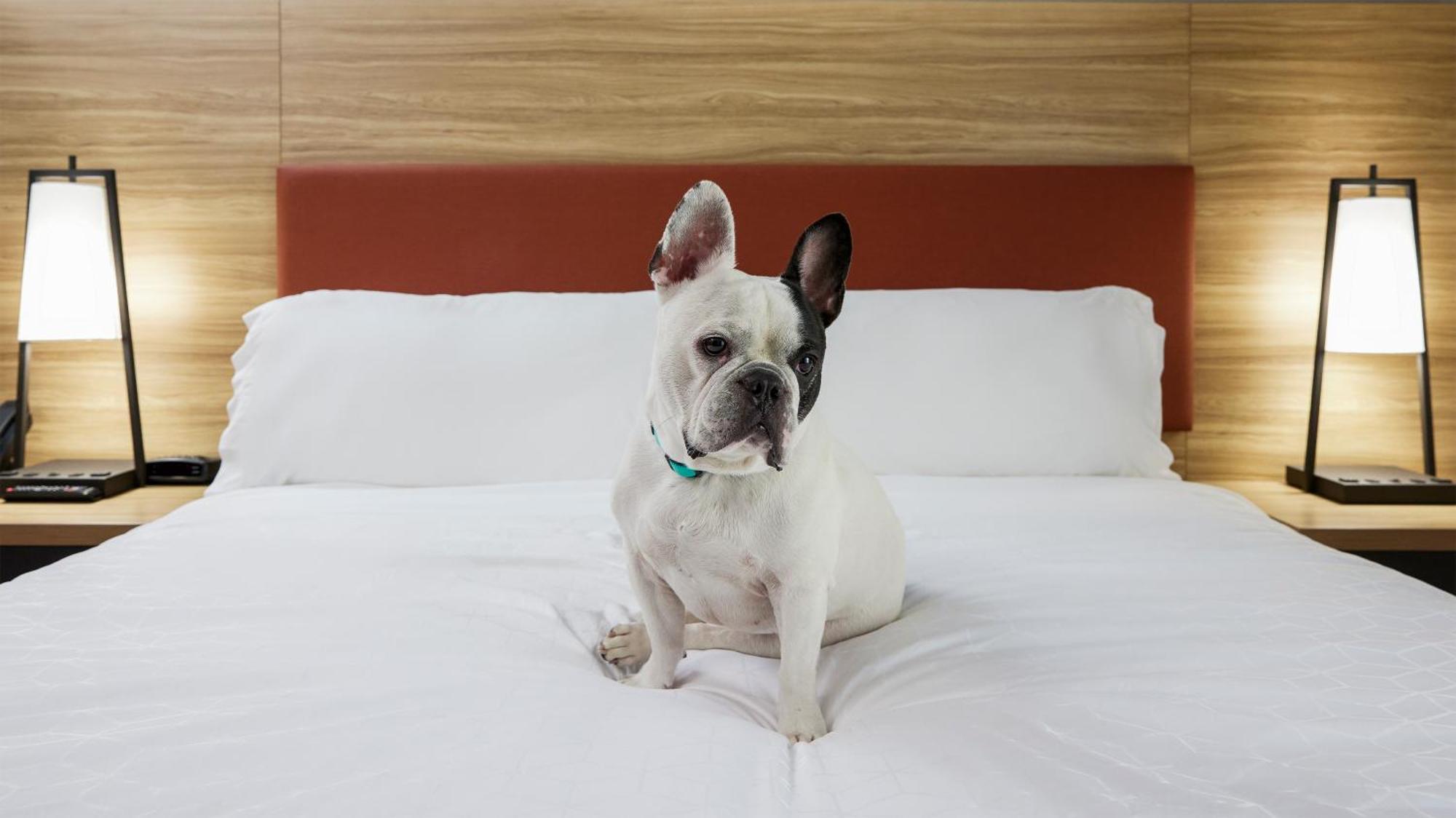 Candlewood Suites Junction City - Ft. Riley By Ihg Екстериор снимка